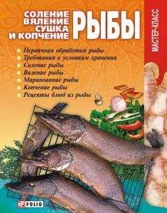 Анна Кобец - Заготавливаем птицу, мясо, рыбу. Копчение, консервирование, вяление, приготовление колбас