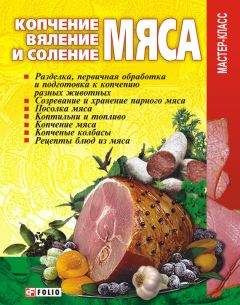 Дарья Костина - Соление, маринование, вяление, копчение