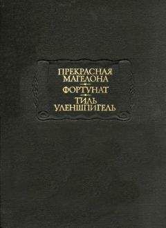 Мигель де Сервантес Сааведра - Хитроумный идальго Дон Кихот Ламанчский