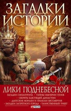 Рейн Крюгер - Китай. Полная история Поднебесной