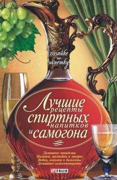 Ирина Байдакова - Самогон и другие спиртные напитки домашнего приготовления