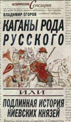 Роман Почекаев - Мамай. История «антигероя» в истории