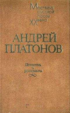 Андрей Платонов - Чевенгур