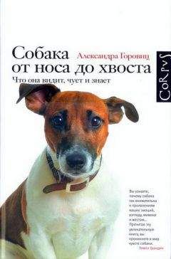 Александра Горовиц - Собака от носа до хвоста. Что она видит, чует и знает