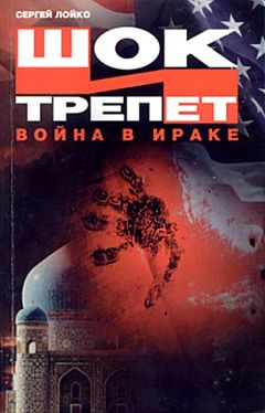 Сергей Лойко - Шок и трепет. Война в Ираке