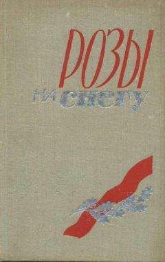 Василий Минаков - Фронт до самого неба