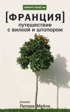 Александр Залётов - Путешествие в Египет