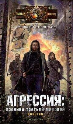 Павел Буркин - Краденая победа