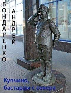 Андрей Евдокимов - Австрийская площадь или петербургские игры