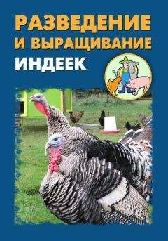 Илья Мельников - Разведение и выращивание цесарок