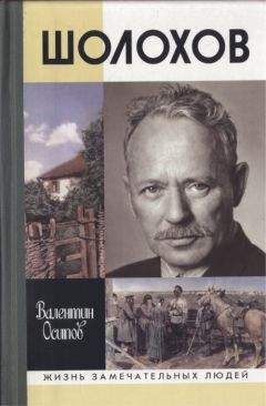 Виктор Петелин - Михаил Шолохов в воспоминаниях, дневниках, письмах и статьях современников. Книга 2. 1941–1984 гг.