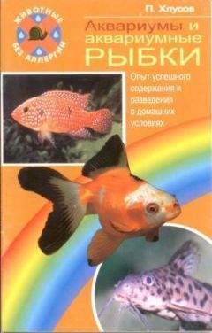 Автор сайта our-aquarium.ru - Аквариумные растения