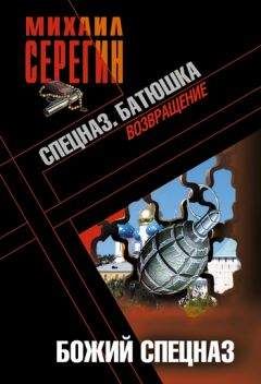 Михаил Серегин - Подарок девушки по вызову