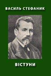 Василь Стефаник - Воєнні шкоди