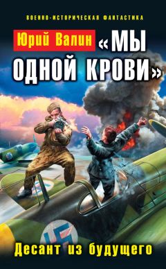 Юрий Валин - «Мы одной крови». Десант из будущего