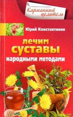 Денис Жабкин - Лечение спины и суставов. Лучшие рецепты народной медицины от А до Я