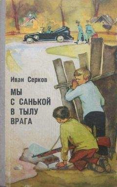 Богумил Ржига - Поездка Гонзика в деревню. О самолетике «Стриже»