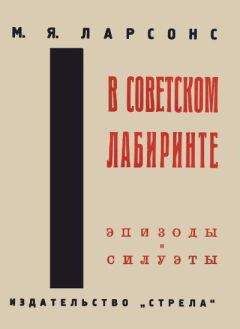 Максим Ларсонс - На советской службе (Записки спеца)