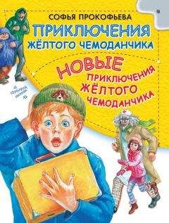 Всеволод Нестайко - Незнакомец из тринадцатой квартиры, или Похитители ищут потерпевшего…