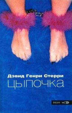 Дэвид Н. Томас - Роковая небрежность. Кто убил Дилана Томаса ?