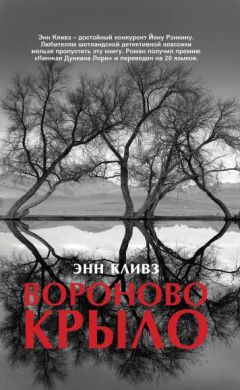 В. О. Ронин - История с камнем