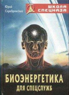 Сет Годин - Уроки Икара. Как высоко вы можете взлететь?