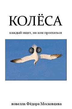 Александр Егоров - Колеса фортуны