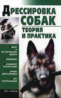 Дмитрий Фатин - Собаки специального назначения. Рассекреченные методики подготовки охранных собак