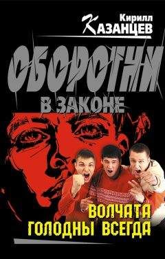 Кирилл Гольцов - Дом на цилиндрах