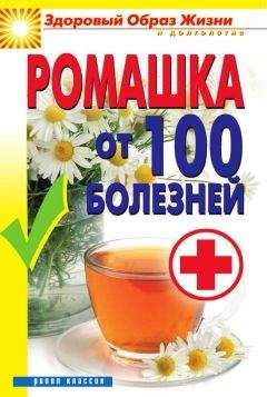 Ольга Климова - Живица Земная. Советы и рецепты от известного травника