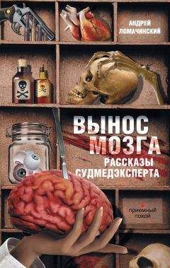 Александр Барышников - Вывих мозга. Рассказы и статьи
