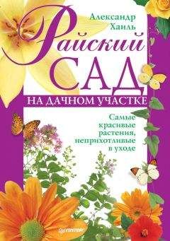 Анастасия Колпакова - Лекарственные травы вашем на участке
