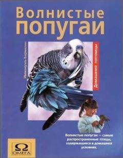 Хорст Бильфельд - Волнистые попугаи