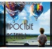 Денис Каримулин - Простые истины