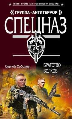 Сергей Соболев - Оперативный захват