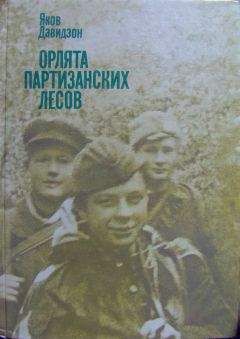 Владимир Железников - Жизнь и приключения чудака (Чудак из шестого «Б»)