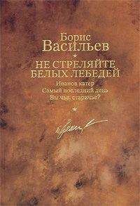 Борис Рохлин - У стен Малапаги