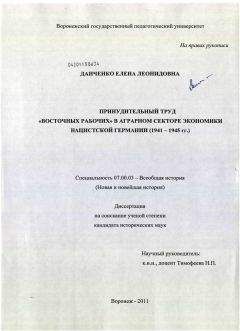 Ганс Румпф - Огненный шторм. Стратегические бомбардировки Германии. 1941-1945