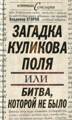 Владимир Егоров - Загадка Куликова поля, или Битва, которой не было