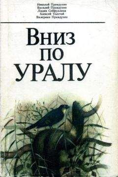 Николай Правдухин - Вниз по Уралу