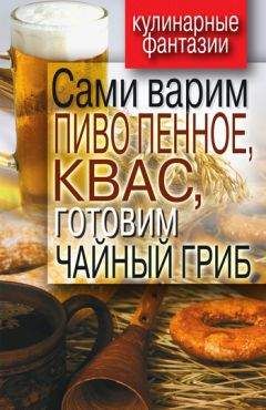 Сергей Кашин - Пиво и квас. 1000 лучших рецептов