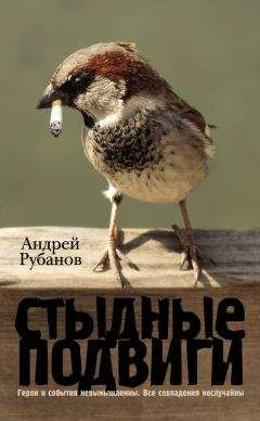 Андрей Рубанов - Жестко и угрюмо