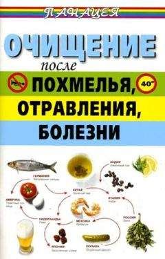 Валерия Янис - 100 рецептов очищения. Имбирь, вода, тибетский гриб, чайный гриб