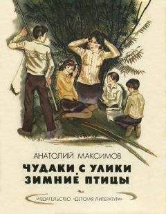 Станислав Рудольф - Птицы меня не обгонят