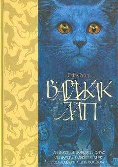 Эрин Хантер - Восход солнца