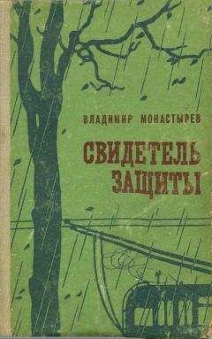 Владимир Монастырев - Свидетель защиты