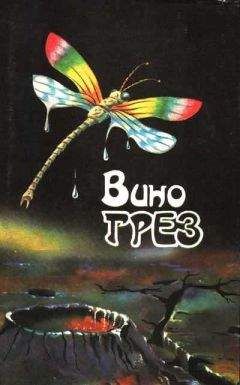 Кристофер Сташеф - Волшебник в мире