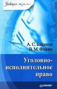 Сергей Зубарев - Уголовно-исполнительное право: конспект лекций