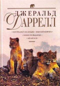 Джеральд Даррелл - Сад богов