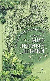 Борис Сергеев - Мир лесных дебрей